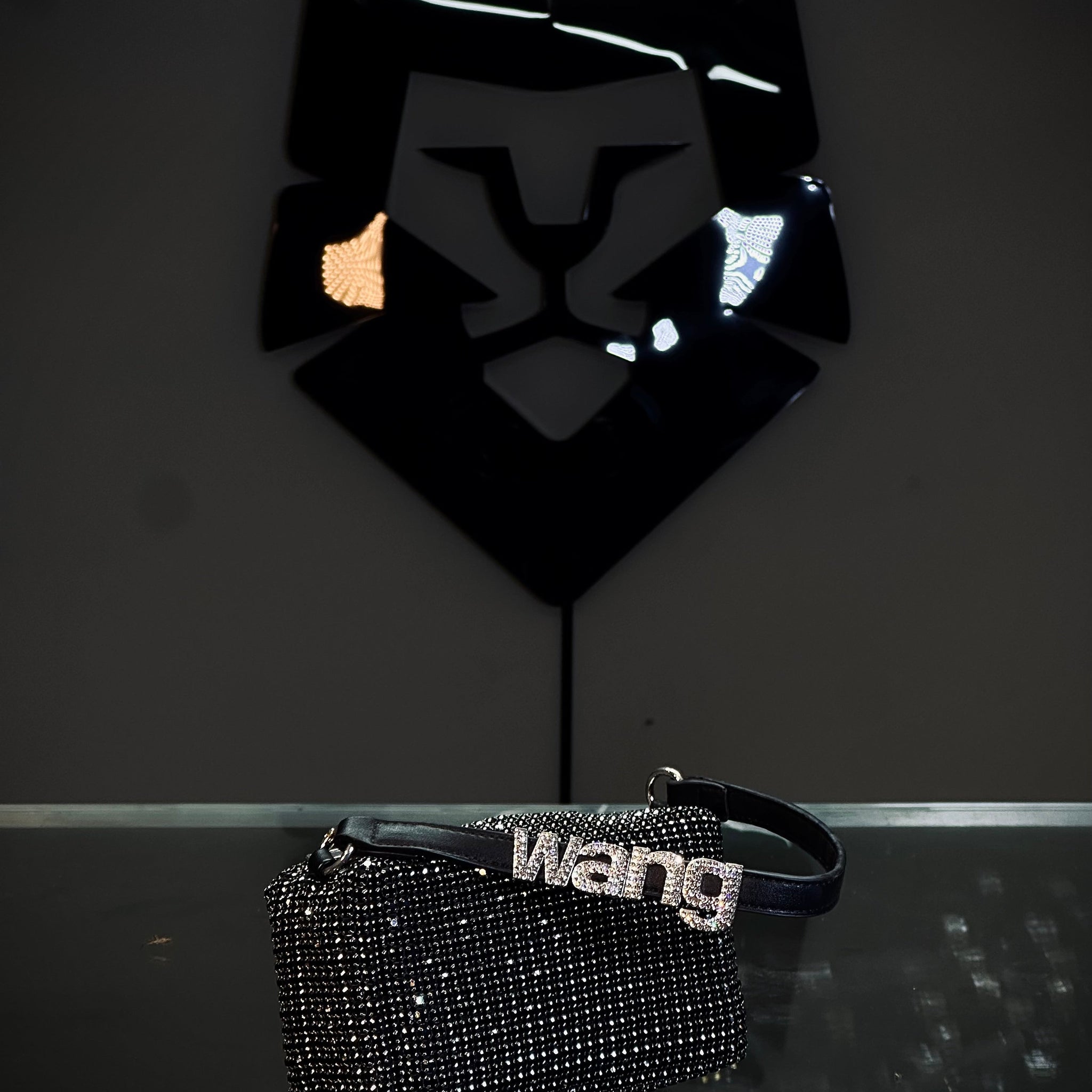 Alexander Wang Sparkle Box